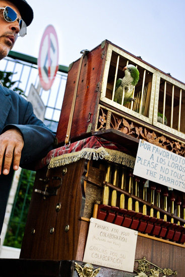 Biel Grimalt - PERSONAL - ARGENTINA