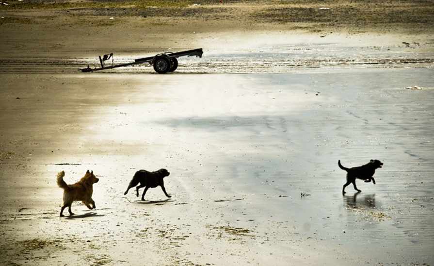 Biel Grimalt - PERSONAL - ARGENTINA