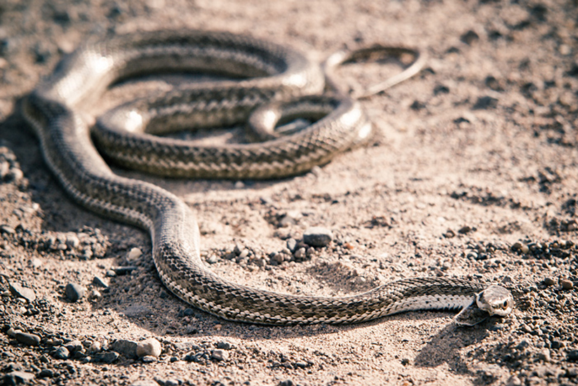 Biel Grimalt - PERSONAL - ARGENTINA