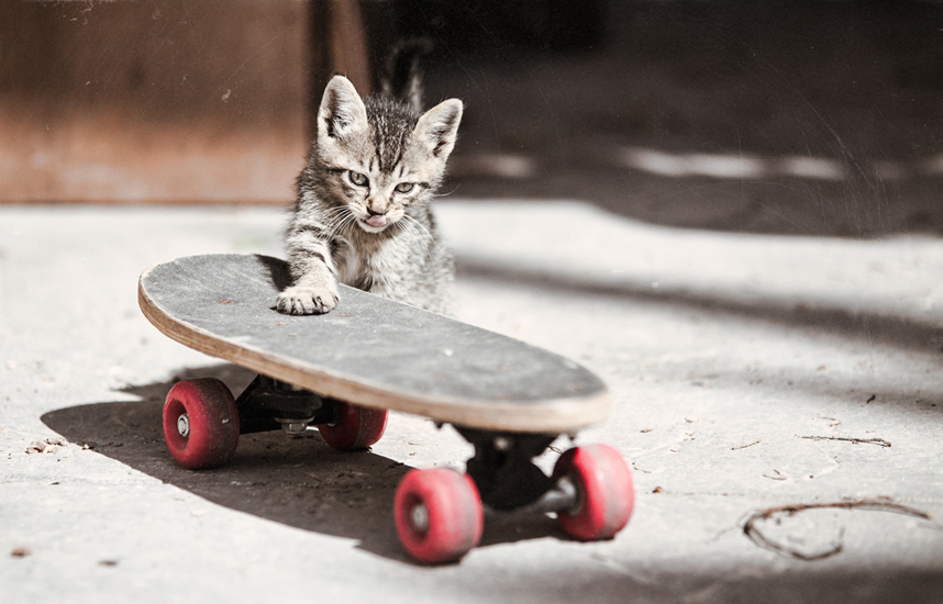 Biel Grimalt - PERSONAL - CATS