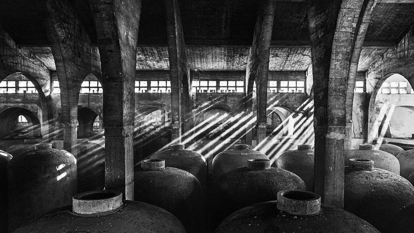 Biel Grimalt - PERSONAL - MALLORCA