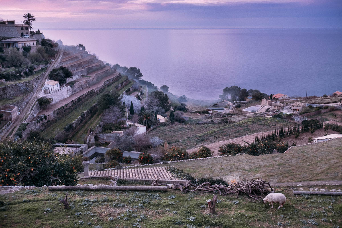 Biel Grimalt - PERSONAL - MALLORCA