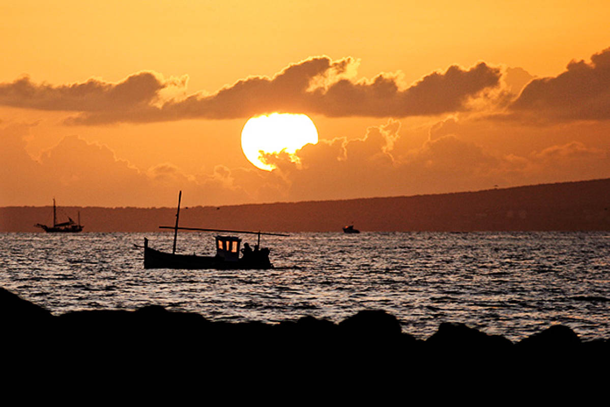 Biel Grimalt - PERSONAL - MALLORCA