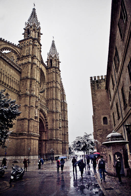 Biel Grimalt - PERSONAL - MALLORCA