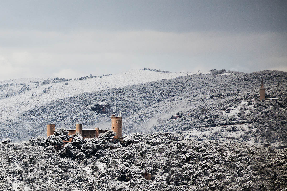 Biel Grimalt - PERSONAL - MALLORCA