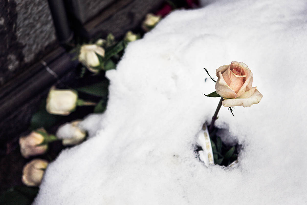 Biel Grimalt - PERSONAL - MALLORCA