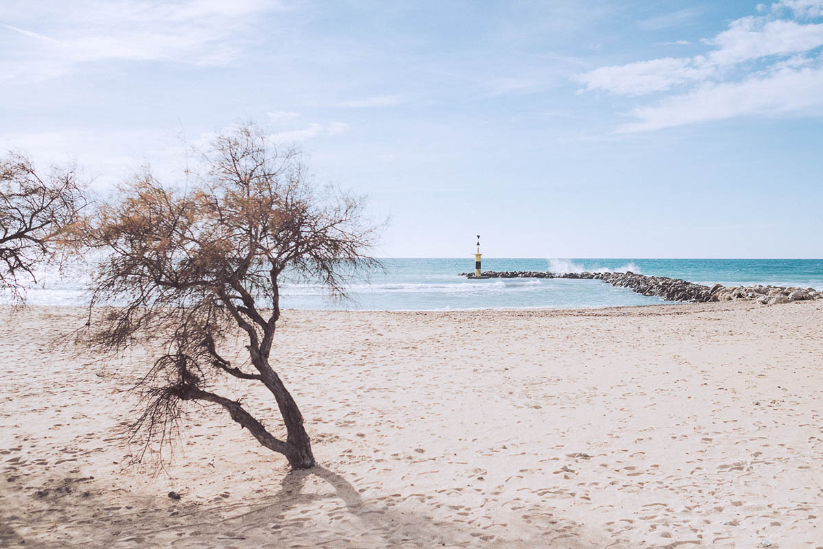 Biel Grimalt - PERSONAL - MALLORCA