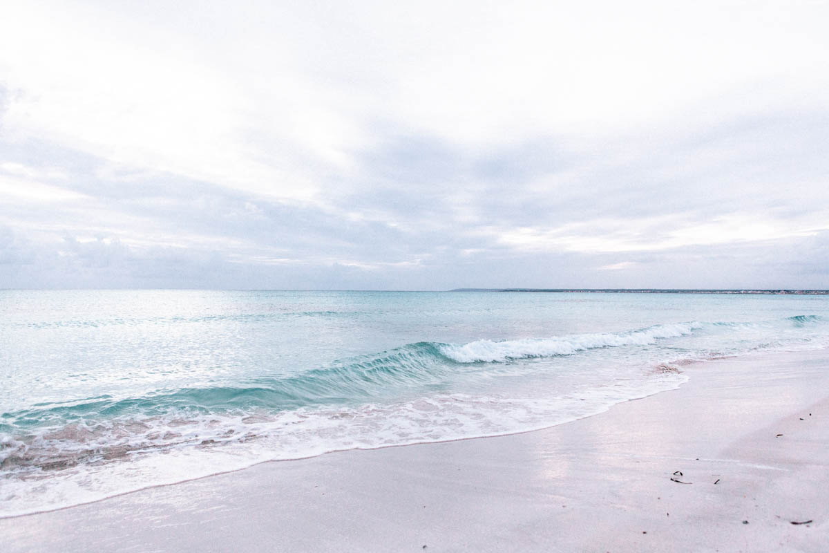 Biel Grimalt - PERSONAL - MALLORCA