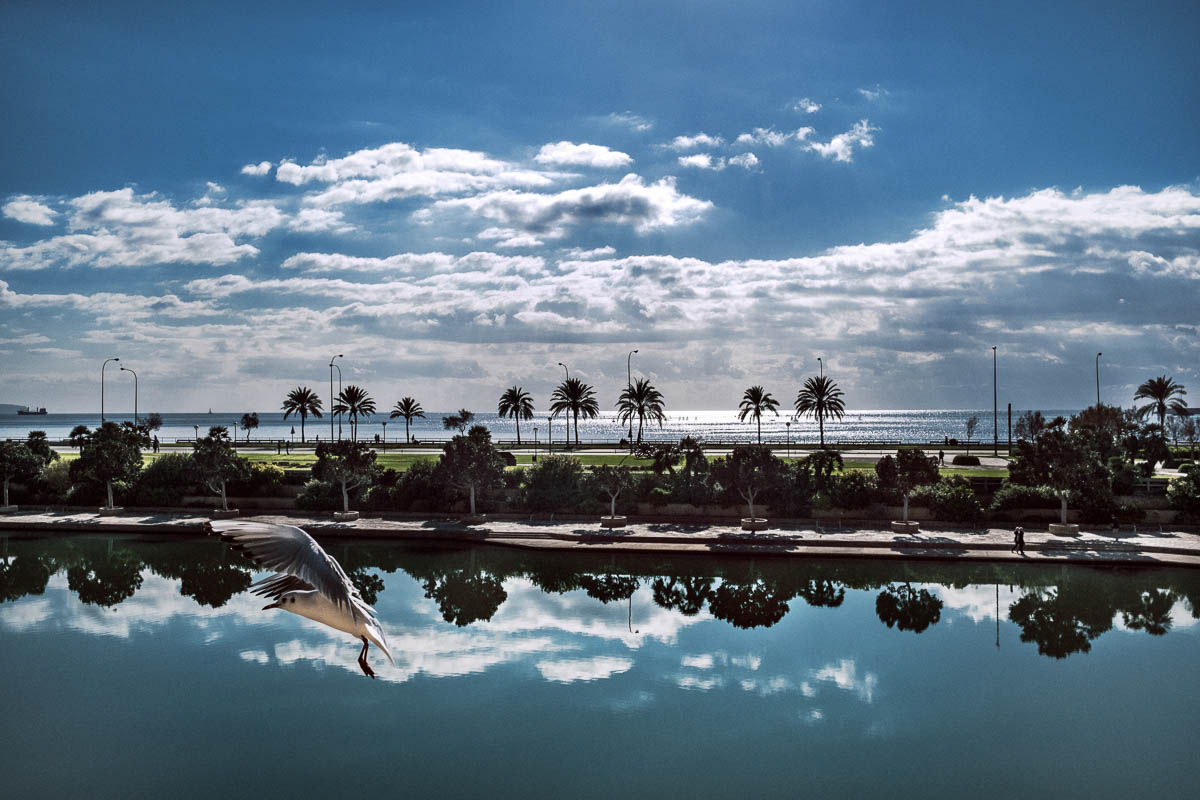 Biel Grimalt - PERSONAL - MALLORCA