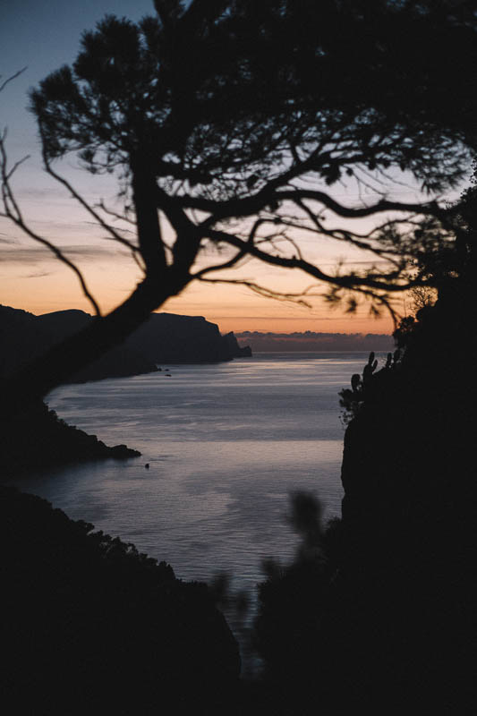 Biel Grimalt - PERSONAL - MALLORCA