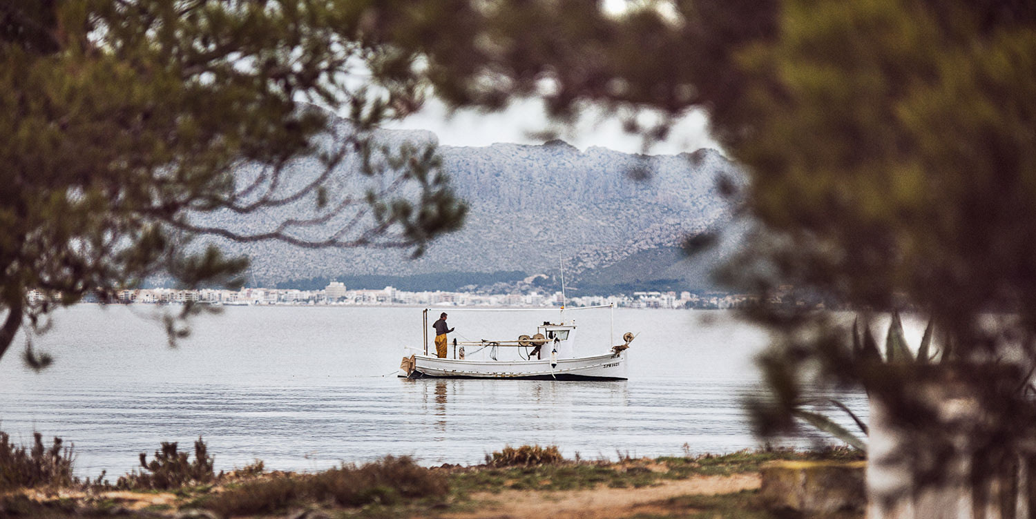 Biel Grimalt - PERSONAL - SOLEDAD