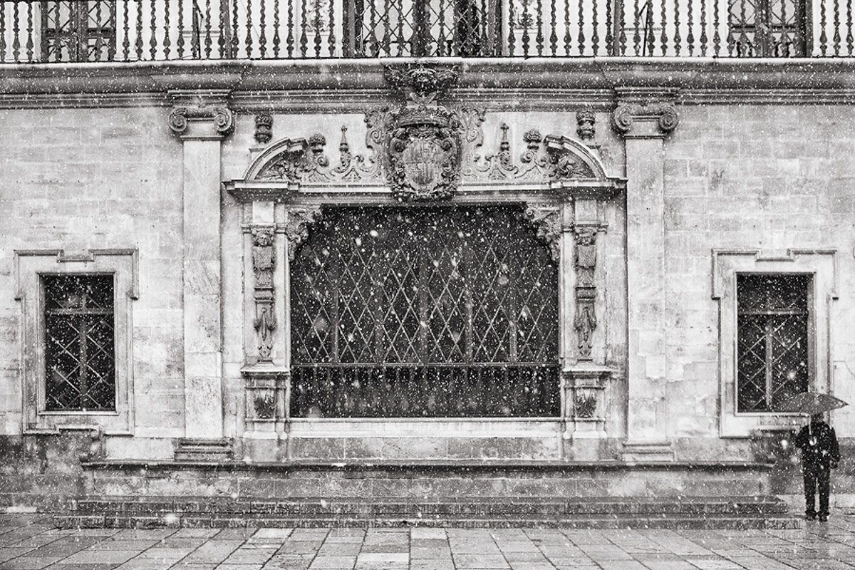 Biel Grimalt - PERSONAL - SOLEDAD