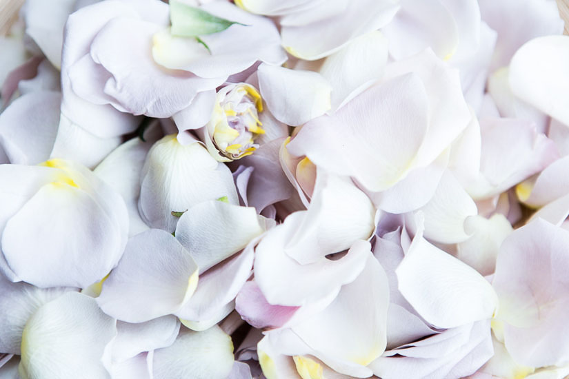 Biel Grimalt - PUBLICIDAD - WEDDING